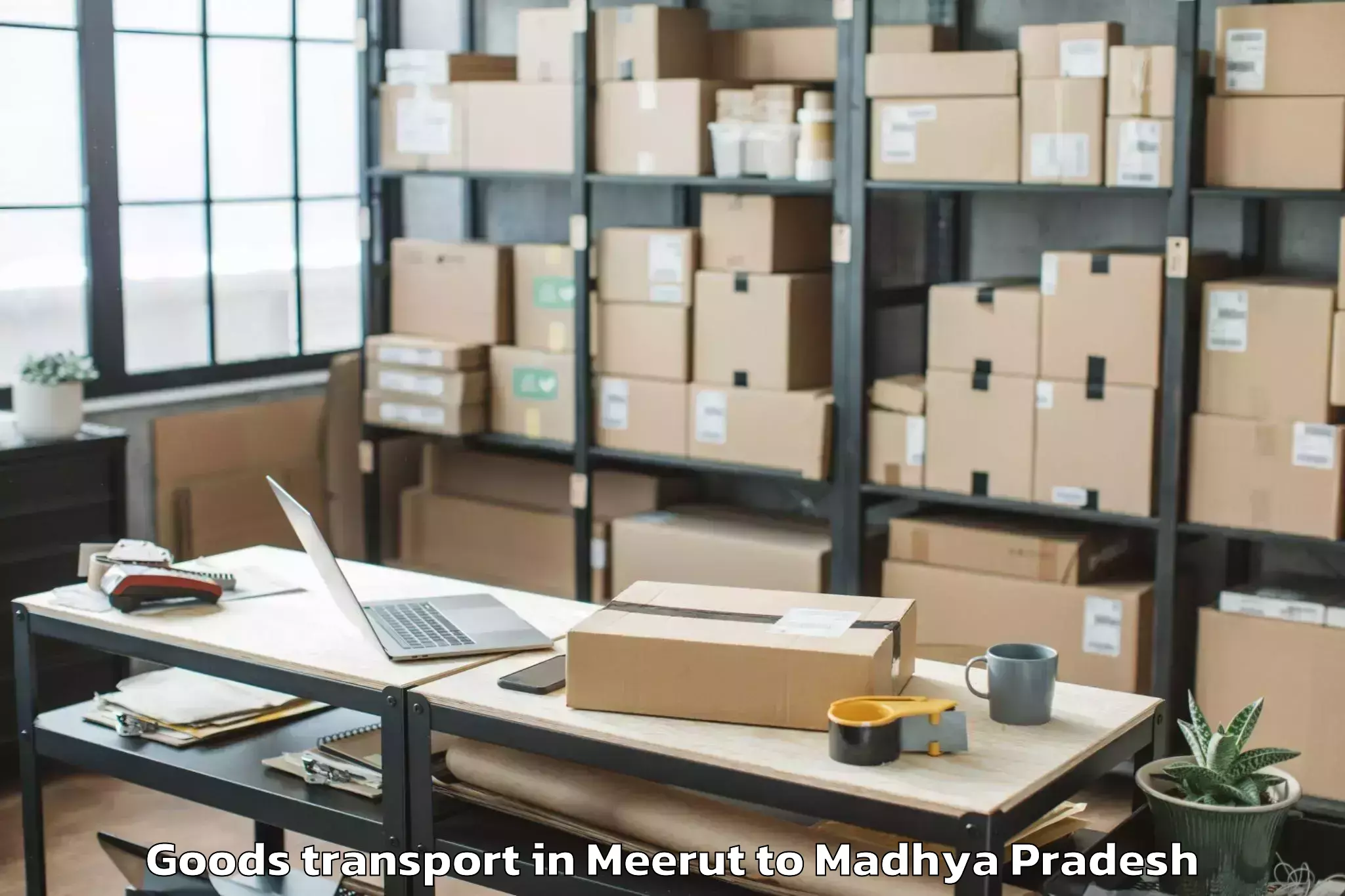 Meerut to Peoples University Bhopal Goods Transport Booking